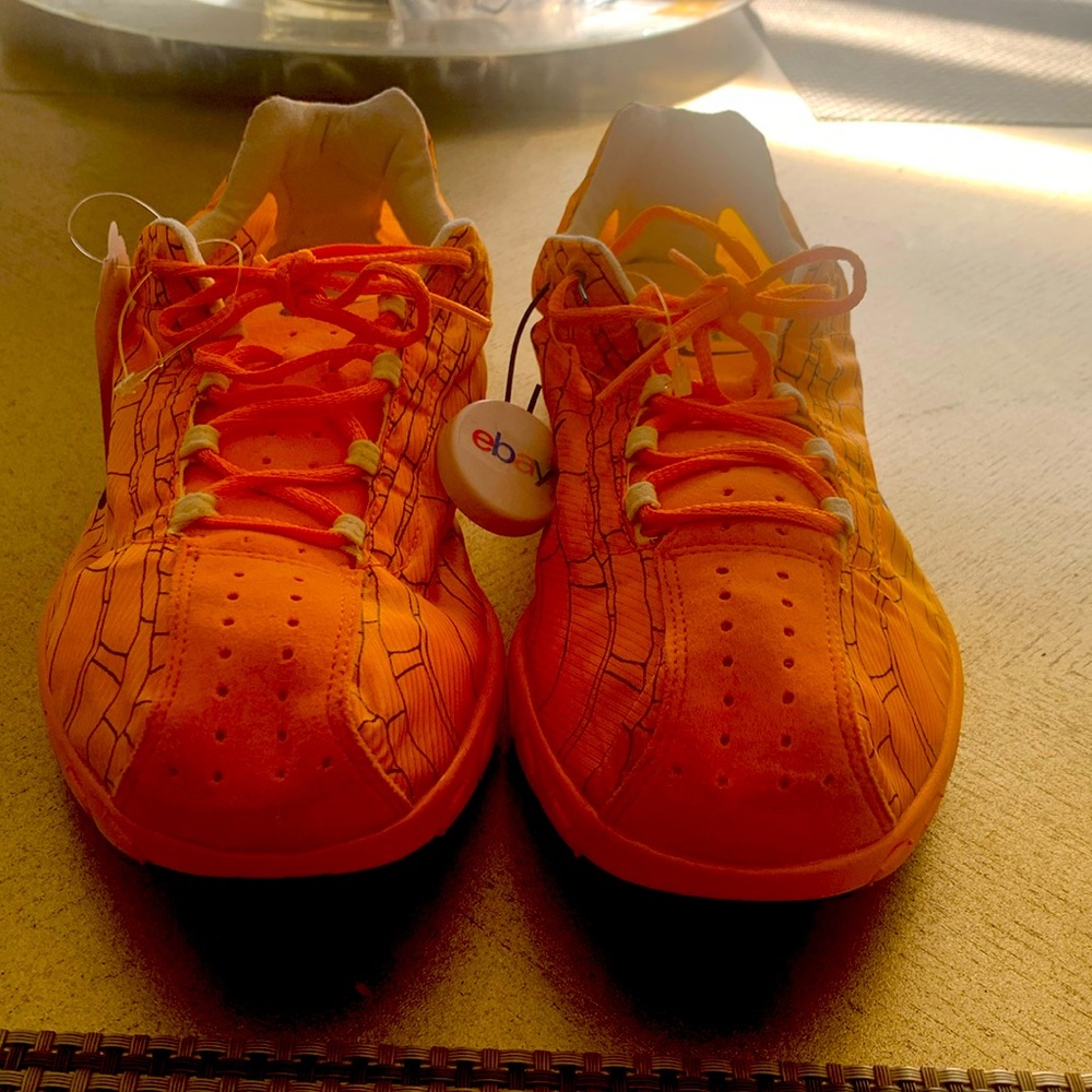 Nike Mayfly Bowerman Men's shoes
